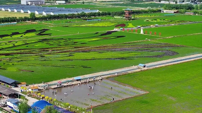 宁夏出台11条政策措施推动涉农工业园区高质量发展(图1)