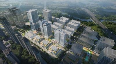 厦门推动人工智能应用从通用能力走向产业适配 AI“大脑”长出专业“手脚”(图1)