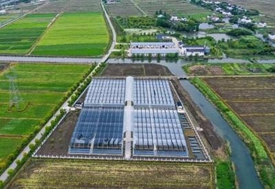 2026年中央新型农业经营主体培育资金政策公开(图1) 2026年中央新型农业经营主体培育资金政策公开(图1)